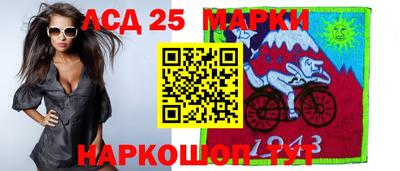 индика Кингисепп